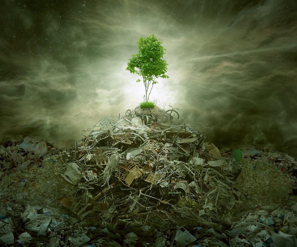 Green concept as a leaf tree on top of mountain heap of garbage with roots as an environment or conservation icon for waste management or new healthy beginning. Green concept as a leaf tree on top of mountain heap of garbage with roots as an environment or conservation icon for waste management or new healthy beginning.