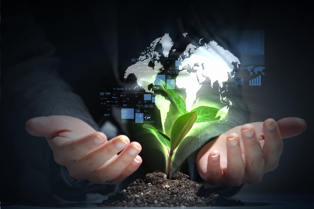 hands, the young sprout and our planet Earth hands, the young sprout and our planet Earth